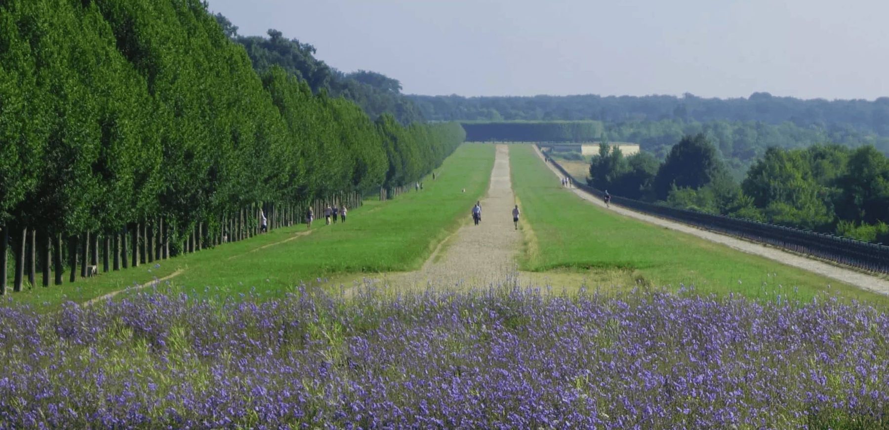 Terrasse du restaurant bordée par la forêt
