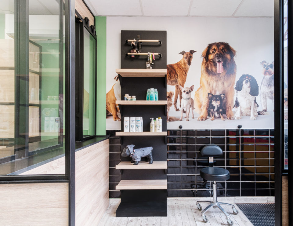 Institut de toilettage canin rénové à Libourne